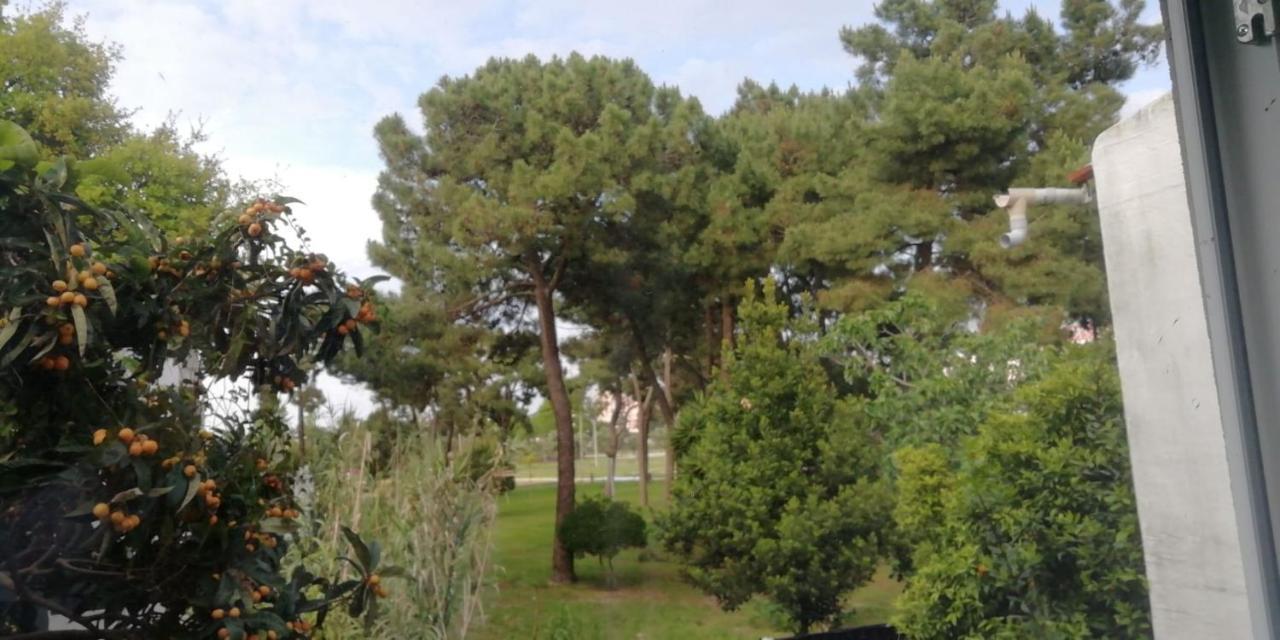 Guesthouse Marialva Park Corroios Exterior foto